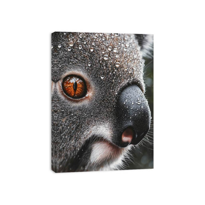 Serene Wanderer Koala Canvas Print