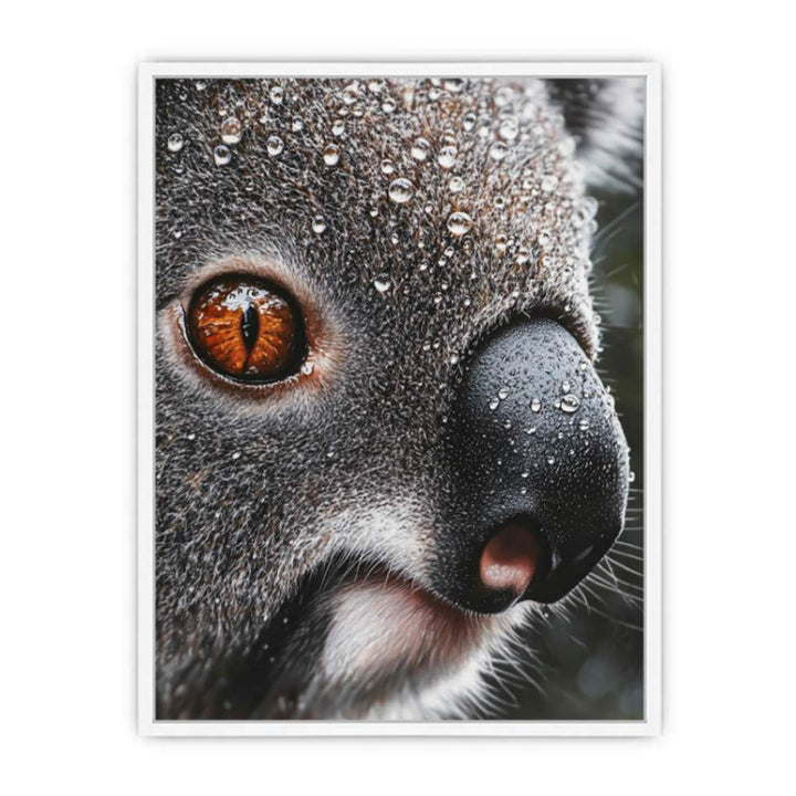 Serene Wanderer Koala Framed Print