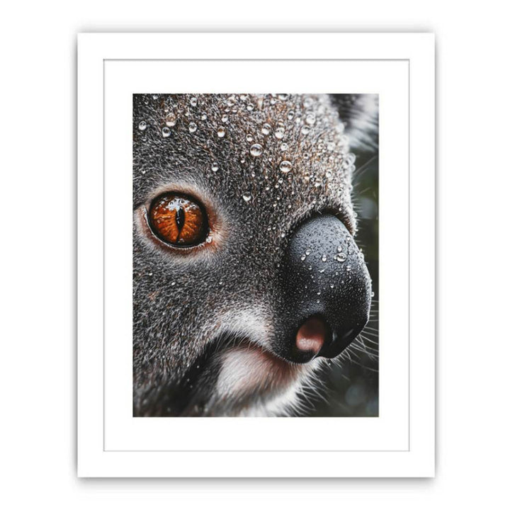 Serene Wanderer Koala Streched canvas