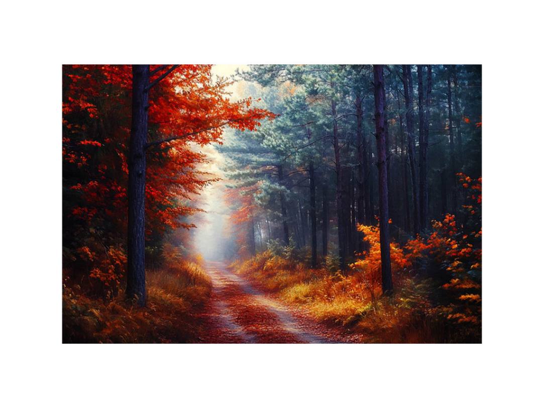 Autumn Forest