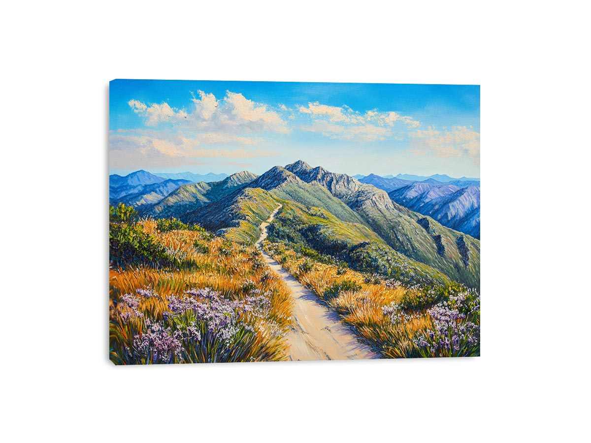 Mount Feathertop Canvas Print