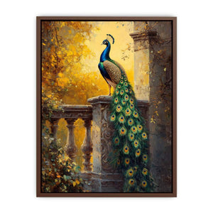 Sunset Glory Peacock  Poster