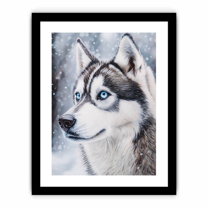 Husky  Art Print