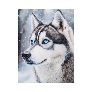 Husky