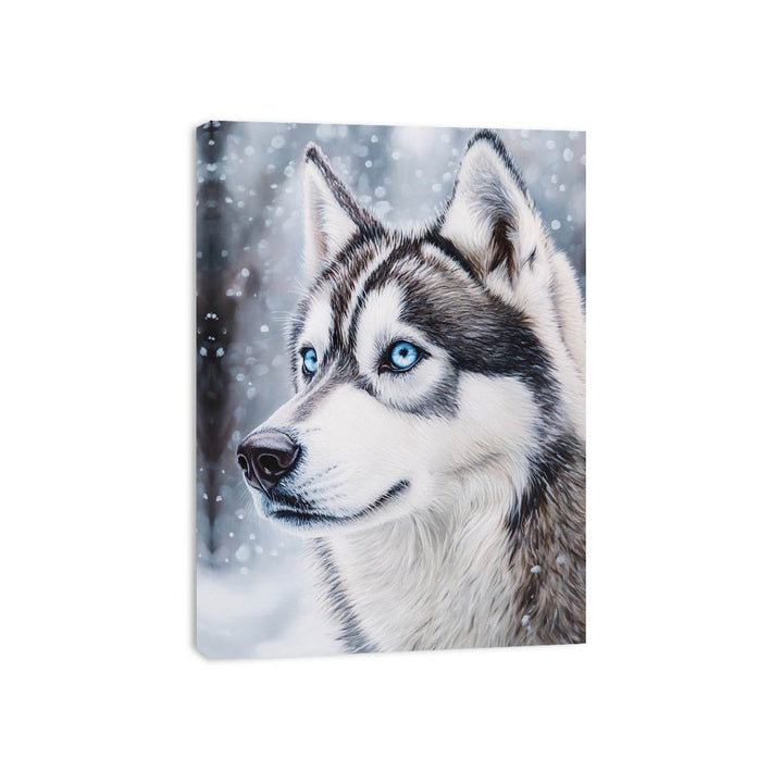 Husky Canvas Print