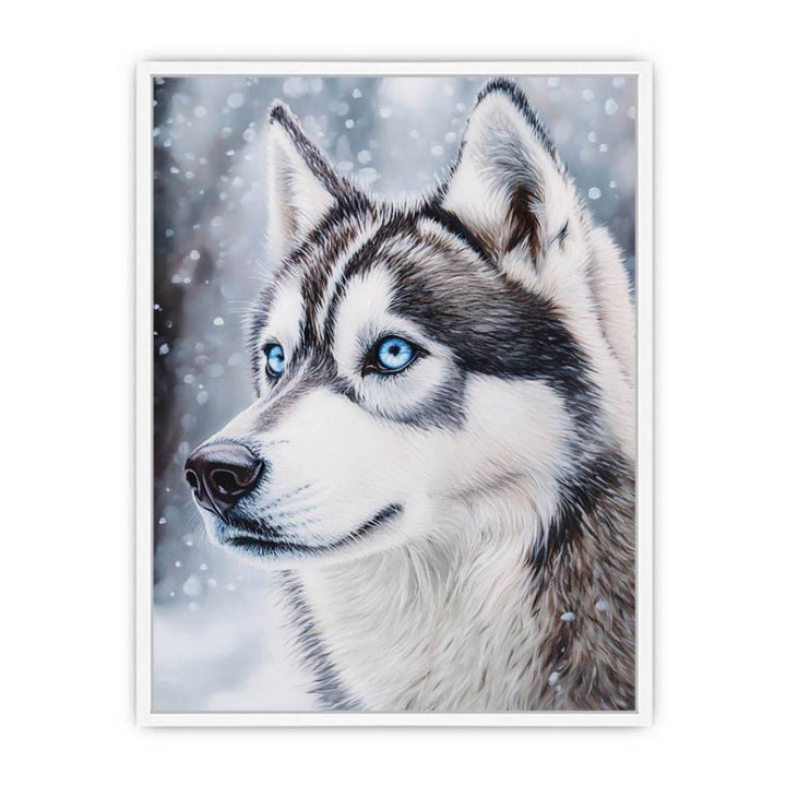 Husky Framed Print