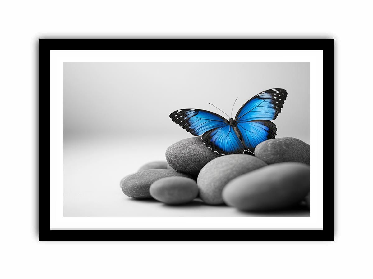 Wings Of Serenity  Art Print