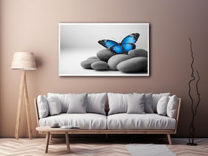Wings Of Serenity 
