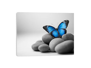 Wings Of Serenity Canvas Print