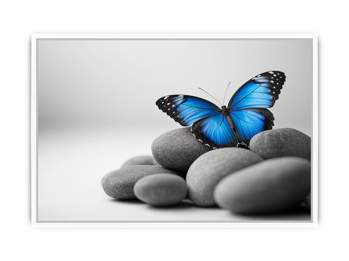 Wings Of Serenity Framed Print