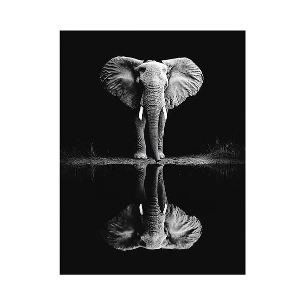 Elephant’s Reflection