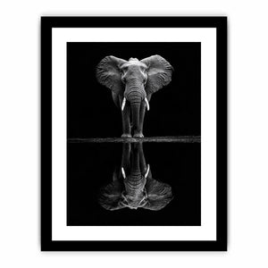 Serenade Of The Elephant  Art Print