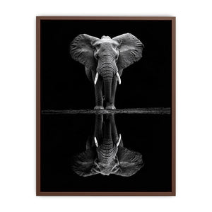 Serenade Of The Elephant  Poster