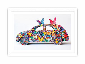 Fluttering Journeys Streched canvas
