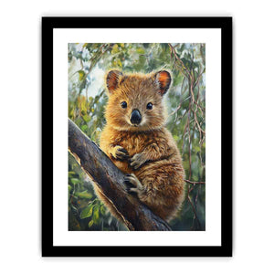 Quokka  Art Print