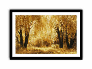 Autumn Gold  Art Print