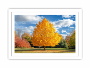 Vibrant Autumn Streched canvas