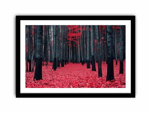 Red Maple Forest  Art Print