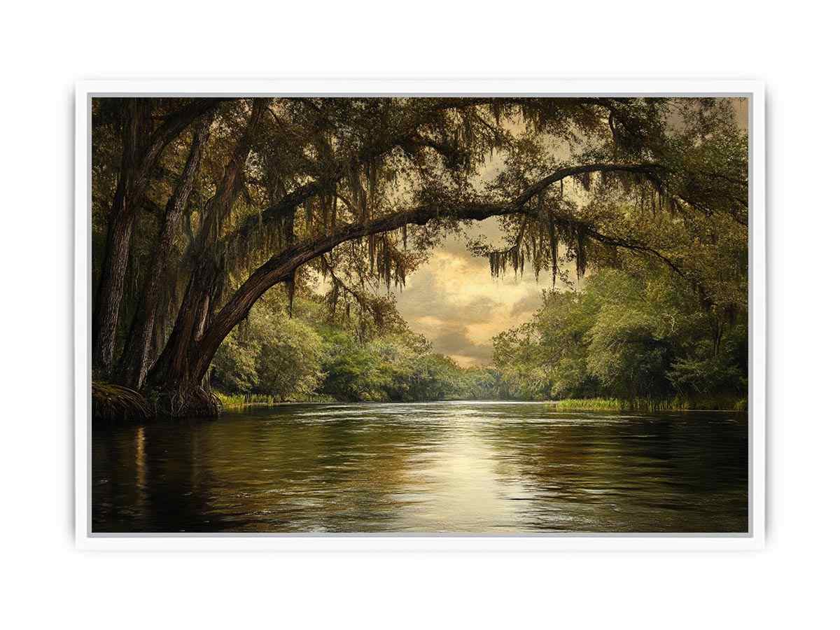 Cooper Creek Framed Print