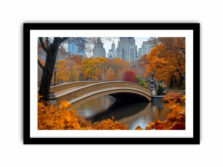 Central Park  Art Print