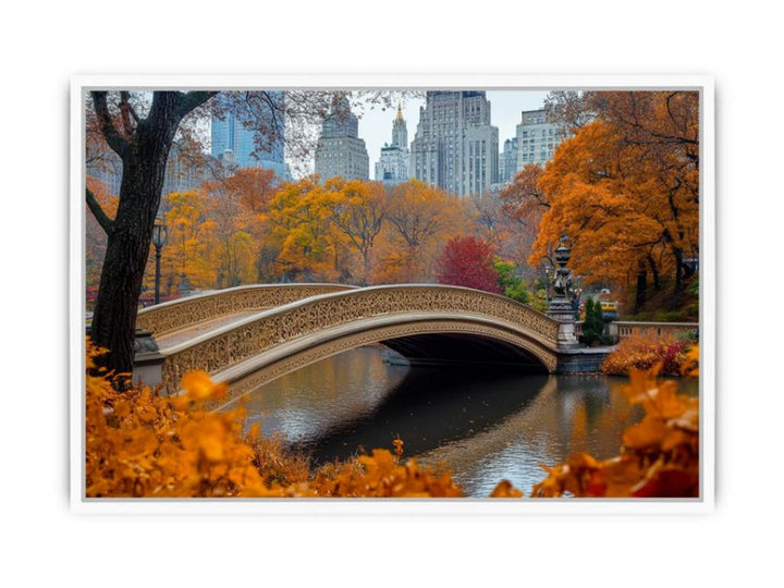 Central Park Framed Print