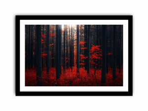 Dense Red Forest  Art Print