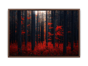 Dense Red Forest  Poster