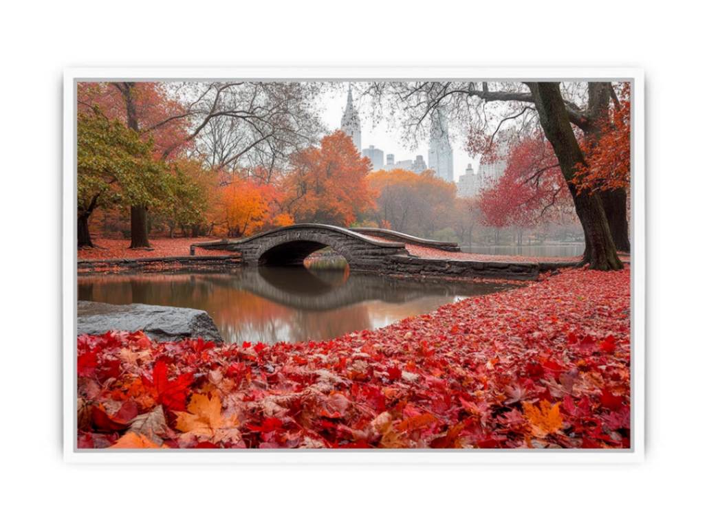 New York Park Central Framed Print