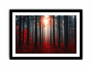 Autumns  Depths  Art Print