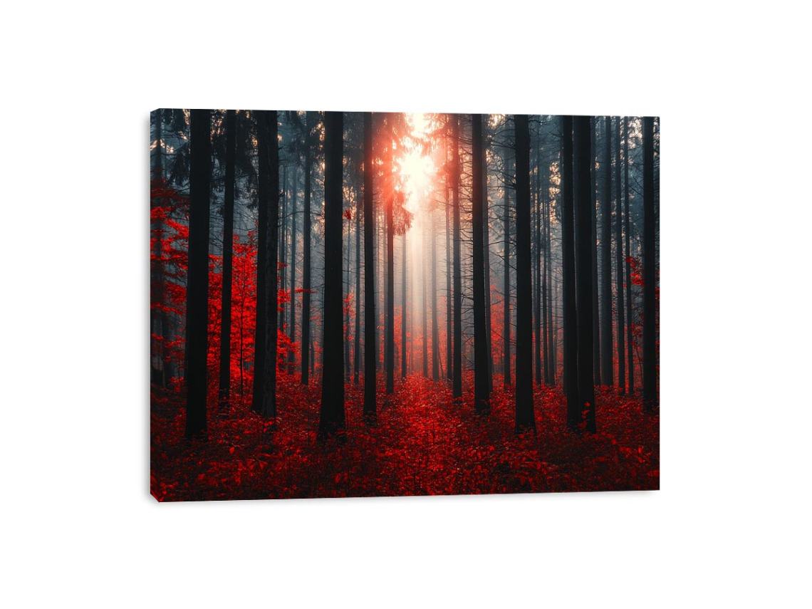 Autumns  Depths Canvas Print