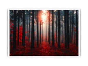 Autumns  Depths Framed Print