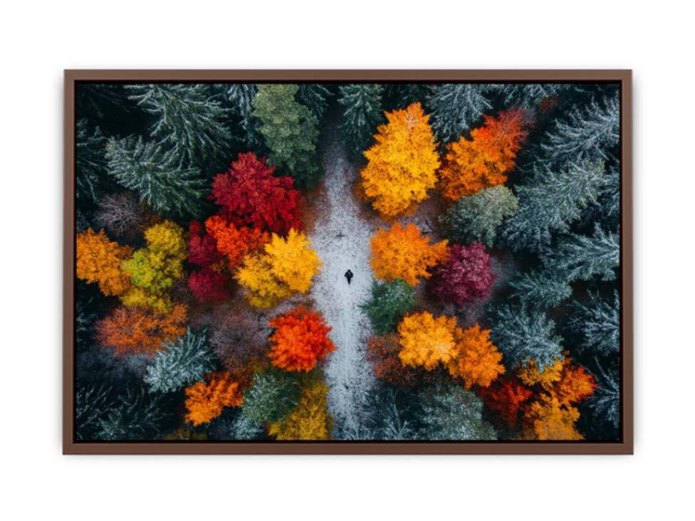 Autumn Serenade Of Trees  Poster