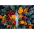 Autumn Serenade Of Trees