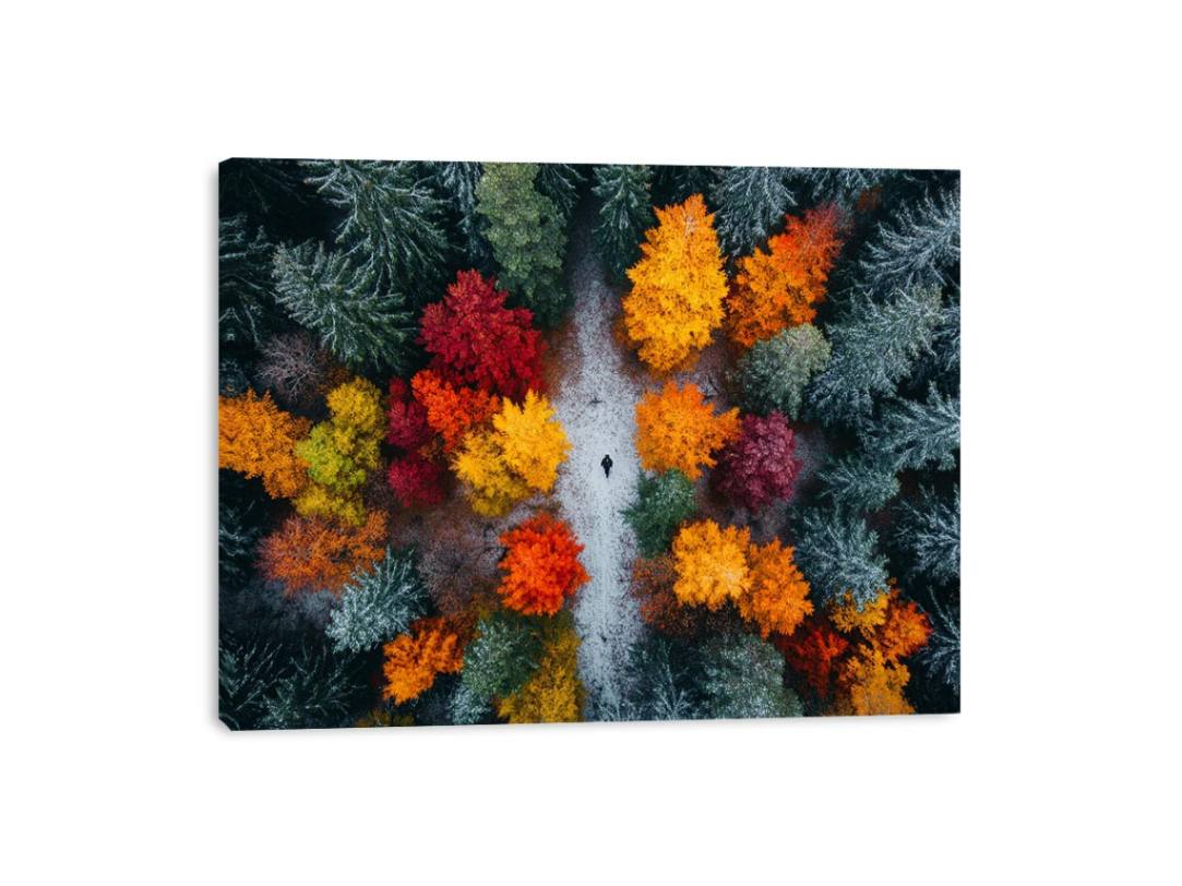 Autumn Serenade Of Trees Canvas Print