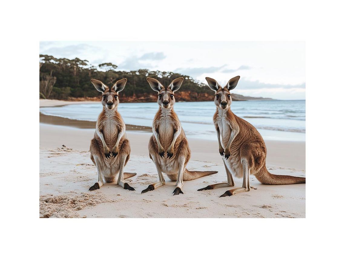 Sunset Hoppers