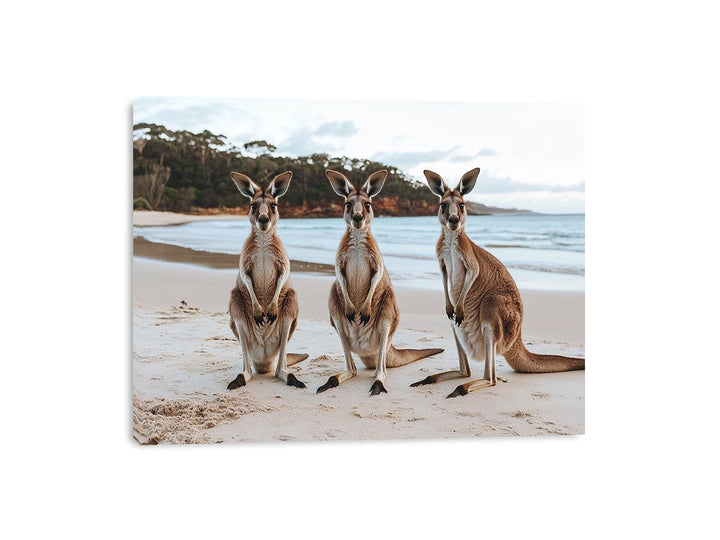 Sunset Hoppers Canvas Print