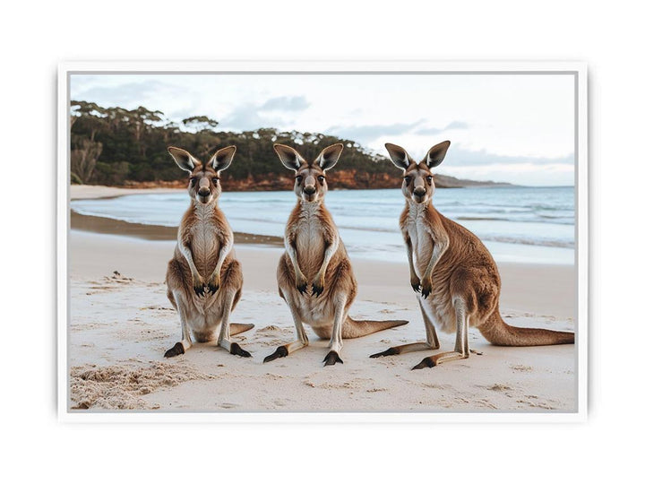 Sunset Hoppers Framed Print