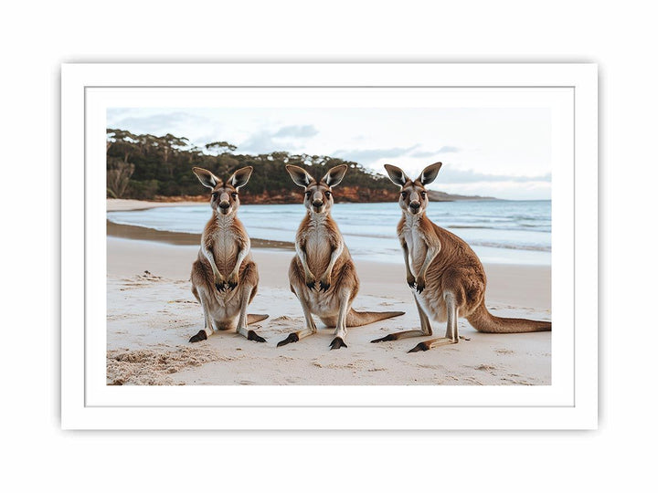 Sunset Hoppers Streched canvas