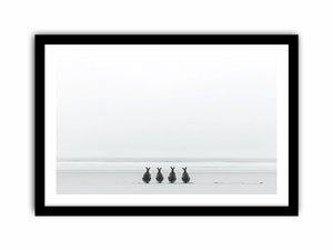 Oceanbound Roos  Art Print