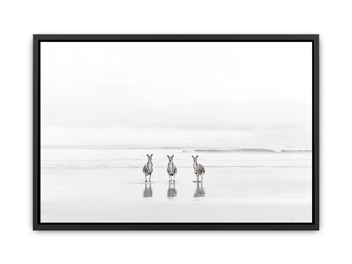 kangaroo On Beach  Painting