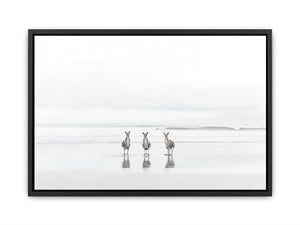 kangaroo On Beach  Painting