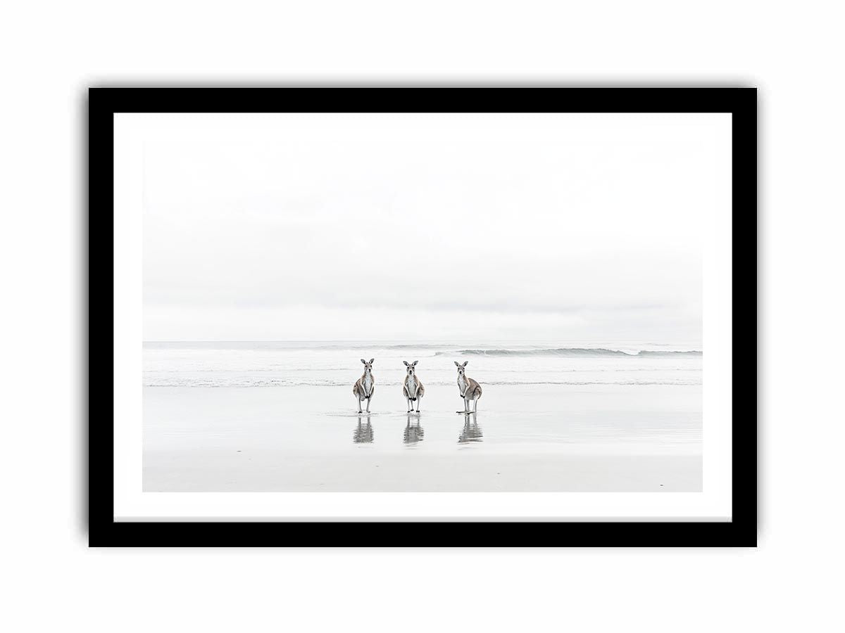 kangaroo On Beach  Art Print