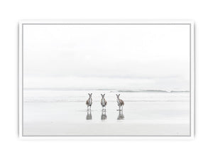 kangaroo On Beach Framed Print