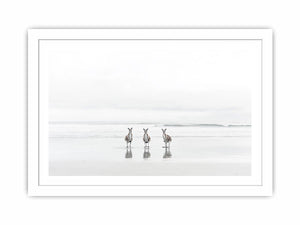 kangaroo On Beach Streched canvas