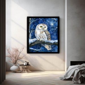 Cute Little Owl 