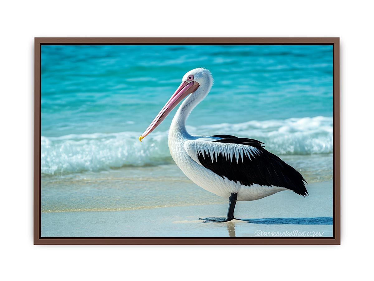 Pelican On Beach  Poster