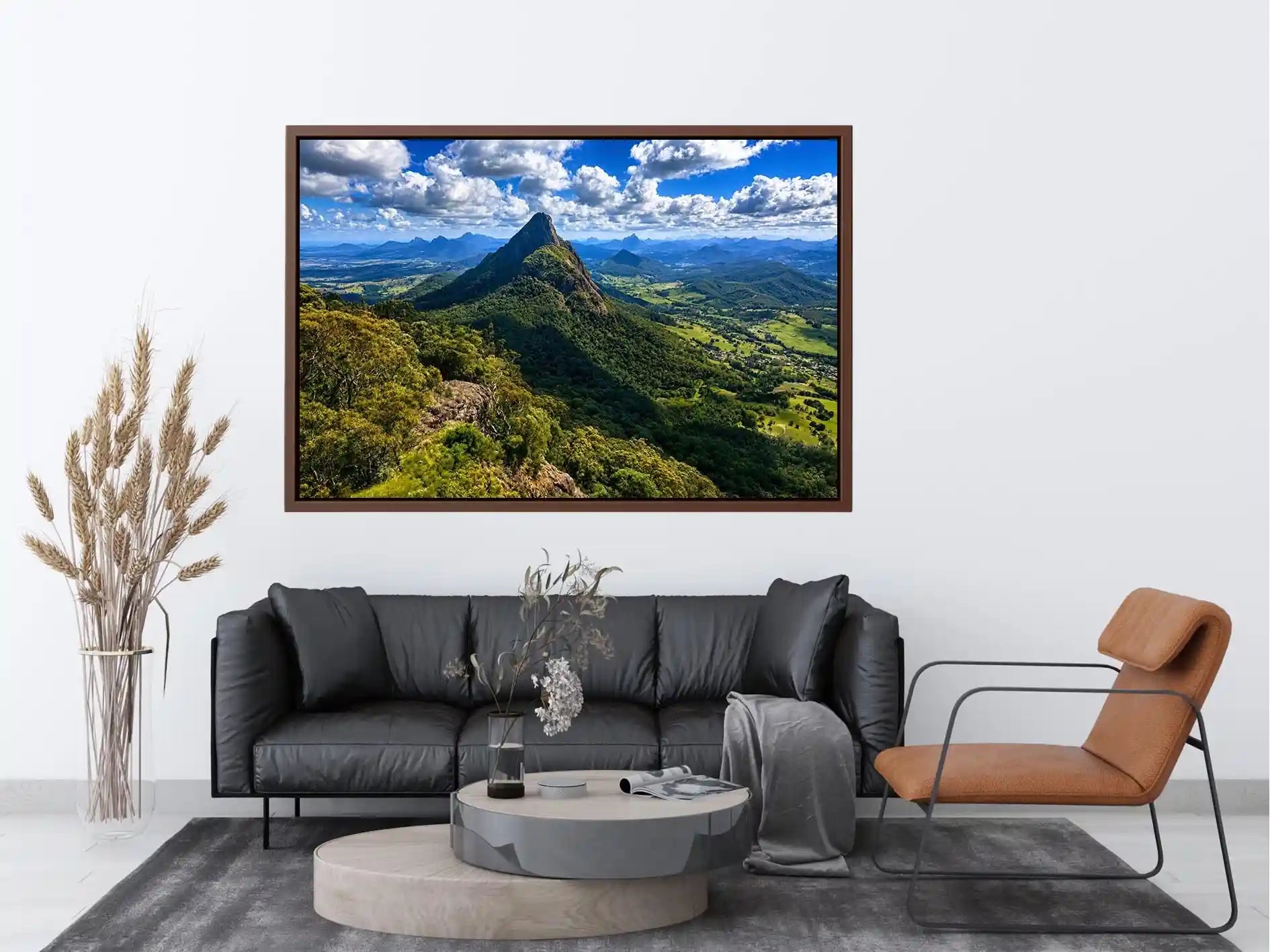 Mount Warning Landscape Canvas Print