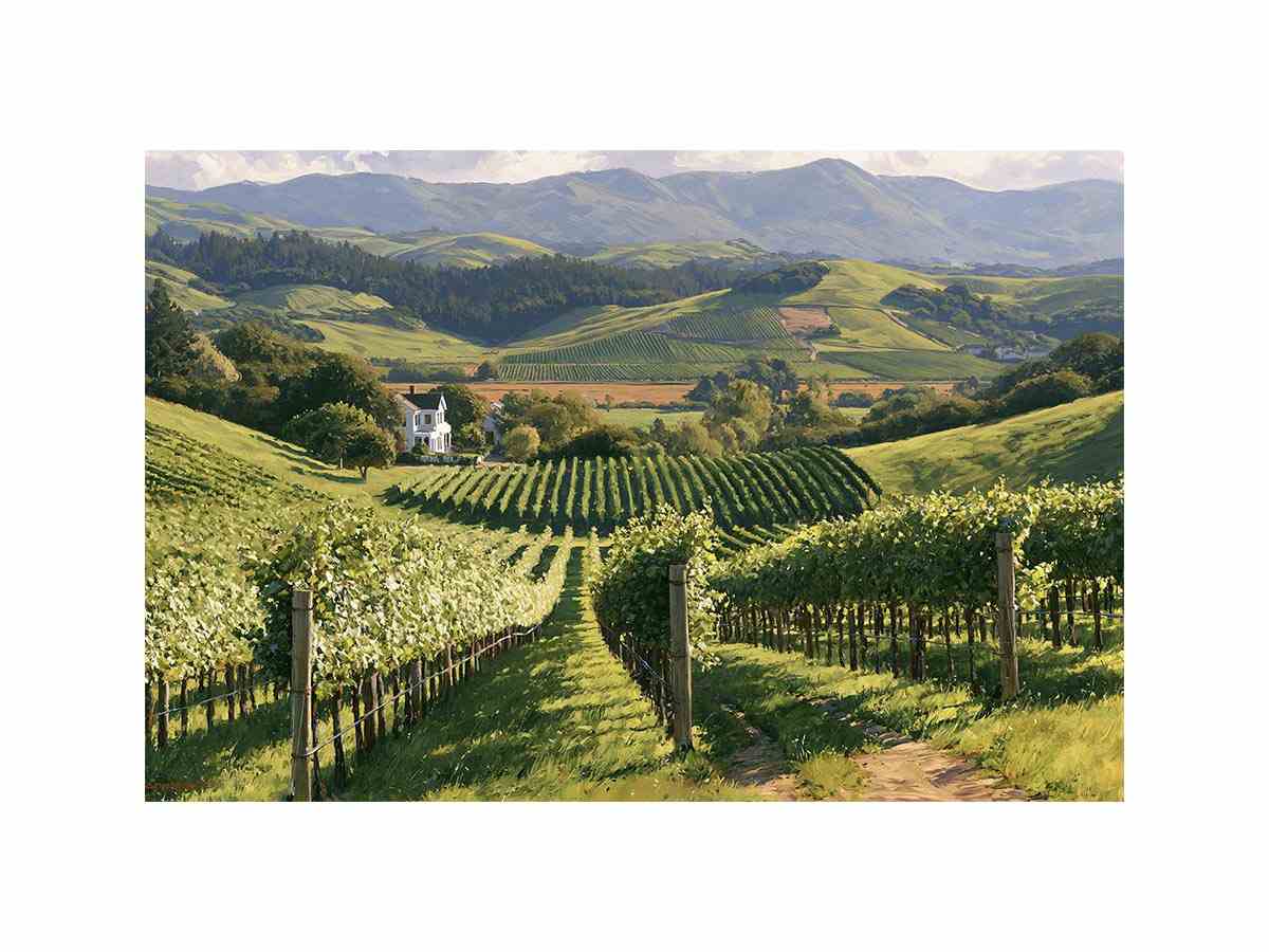 South Australia vineyard landscape wall art inspired by Australian wine country, available as canvas prints and framed wall art.