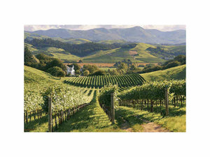 South Australia vineyard landscape wall art inspired by Australian wine country, available as canvas prints and framed wall art.