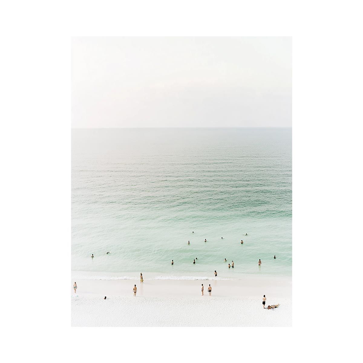 Flight Of The Azure Coast